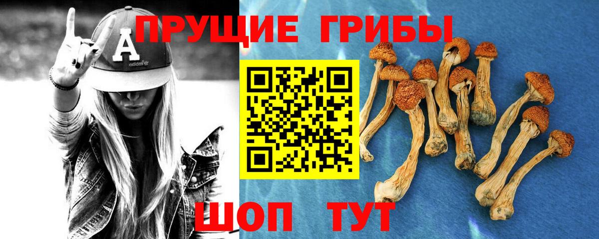 Псилоцибиновые грибы Psilocybine cubensis Соликамск